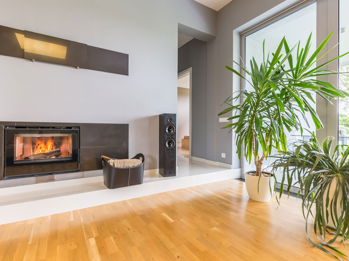 037 Green view design